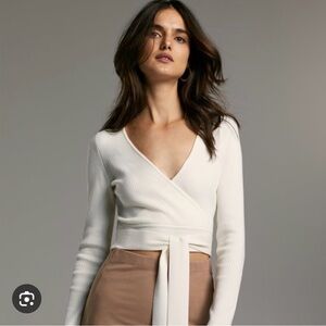 Aritzia Babaton Romeo Sweater in Espace (M)